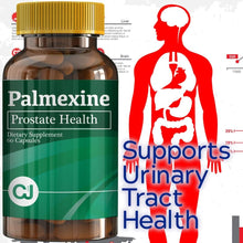Load image into Gallery viewer, Palmexine Prostate Health
